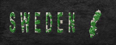 İsveç 'in Yeniden Ormanlanma Haritası Yeşil Gündem, İklim Mesajı