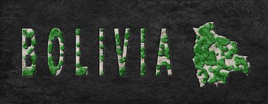 Bolivya 'nın Yeniden Ormanlanma Haritası Yeşil Gündem, İklim Mesajı