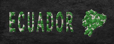 Ekvador Yeniden Ormanlandırma Yeşil Gündem Haritası, İklim Mesajı