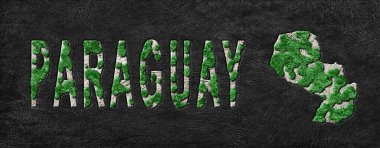 Paraguay Ormanının Yeniden Ormanlanma Haritası Yeşil Gündem, İklim Mesajı