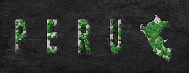 Peru Yeniden Ormanlama Yeşil Gündem Haritası, İklim Mesajı