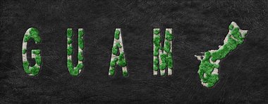 Guam Ormanının Yeniden Ormanlanma Haritası Yeşil Gündem, İklim Mesajı