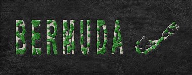 Bermuda Yeniden Ormanlama Yeşil Gündem Haritası, İklim Mesajı