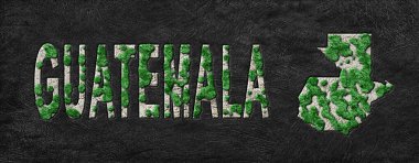 Guatemala Ormanlarının Yeniden Canlandırılması Yeşil Gündem Haritası, İklim Mesajı