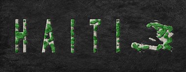 Haiti Ormanını Yenileme Haritası Yeşil Gündem, İklim Mesajı