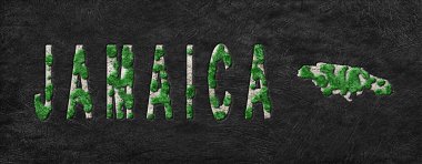 Jamaika Ormanlarının Yeniden Canlandırılması Yeşil Gündem Haritası, İklim Mesajı