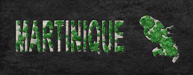 MGreeninique Yeniden Ormanlama Yeşil Gündem Haritası, İklim Mesajı