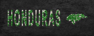 Honduras Ormanının Yeniden Ormanlanma Haritası Yeşil Gündem, İklim Mesajı