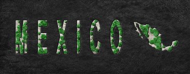 Meksika 'nın Yeniden Ormanlanma Haritası Yeşil Gündem, İklim Mesajı