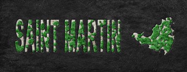 Saint Mgreenin Yeniden Ormanlama Yeşil Gündem Haritası, İklim Mesajı