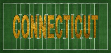 Connecticut Golden USA Futbol Sahasında