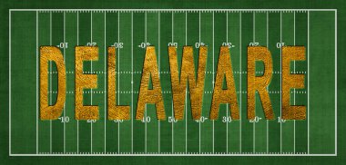 Delaware Altın ABD Futbol Sahasında