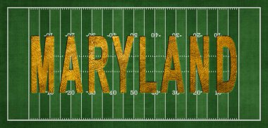 Maryland Golden USA Futbol Sahasında
