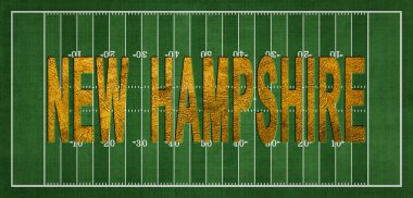 New Hampshire Golden USA Eyaleti Futbol Sahasında