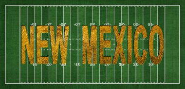 New Mexico Golden USA Eyaleti Futbol Sahasında