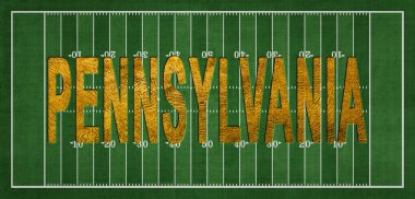 Pennsylvania Golden USA Futbol Sahasında