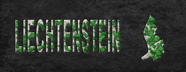 Lihtenştayn 'ın Yeşil Gündem Haritası, İklim Mesajı