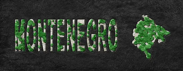 Karadağ 'ın Yeniden Ormanlanma Haritası Yeşil Gündem, İklim Mesajı