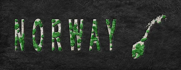 Norveç 'in Yeniden Ormanlanma Haritası Yeşil Gündem, İklim Mesajı