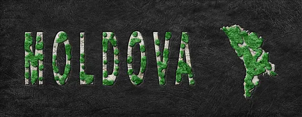 Moldova Yeniden Ormanlandırma Yeşil Gündem Haritası, İklim Mesajı