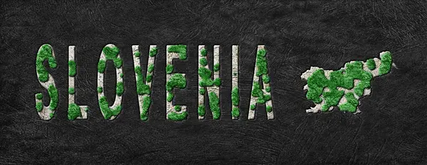 Slovenya Ormanlarını Yeniden Ormanlandırma Haritası Yeşil Gündem, İklim Mesajı