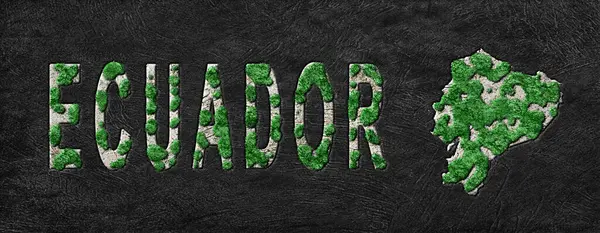 Ekvador Yeniden Ormanlandırma Yeşil Gündem Haritası, İklim Mesajı