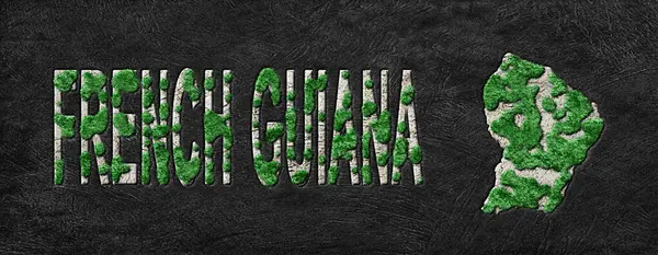 Fransız Guyanasının Yeşil Gündemi Haritası, İklim Mesajı