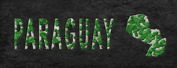 Paraguay Ormanının Yeniden Ormanlanma Haritası Yeşil Gündem, İklim Mesajı