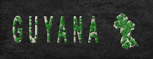 Guyana Yeniden Ormanlama Yeşil Gündem Haritası, İklim Mesajı