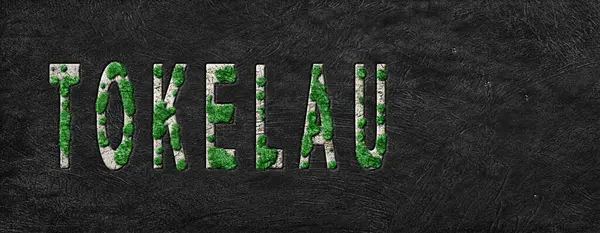 Tokelau Ormanını Yeniden Ormanlandırma Haritası, İklim Mesajı