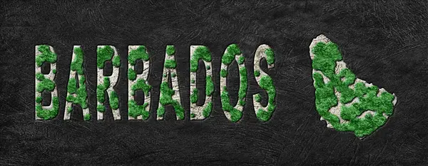 Barbados Ormanlarını Yenileme Haritası Yeşil Gündem, İklim Mesajı