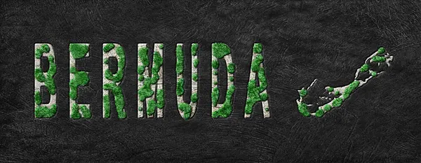 Bermuda Yeniden Ormanlama Yeşil Gündem Haritası, İklim Mesajı