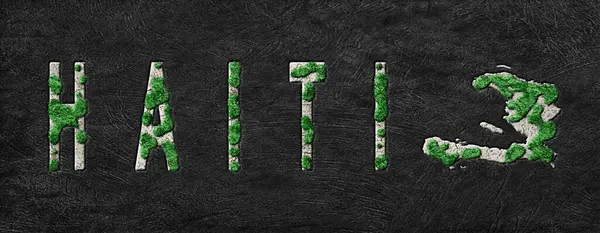 Haiti Ormanını Yenileme Haritası Yeşil Gündem, İklim Mesajı