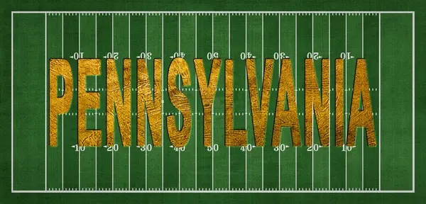 Pennsylvania Golden USA Futbol Sahasında