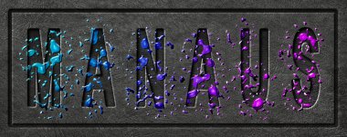 Neon Manaus Parıltısı, Renk Sıçratma Şehri