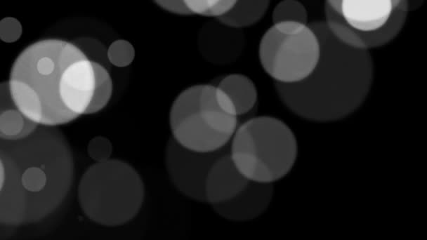 Siyah Arkaplanda Soyut Beyaz Parıltı Parçacık Siyah Arkaplanda Güzel Beyaz — Stok video