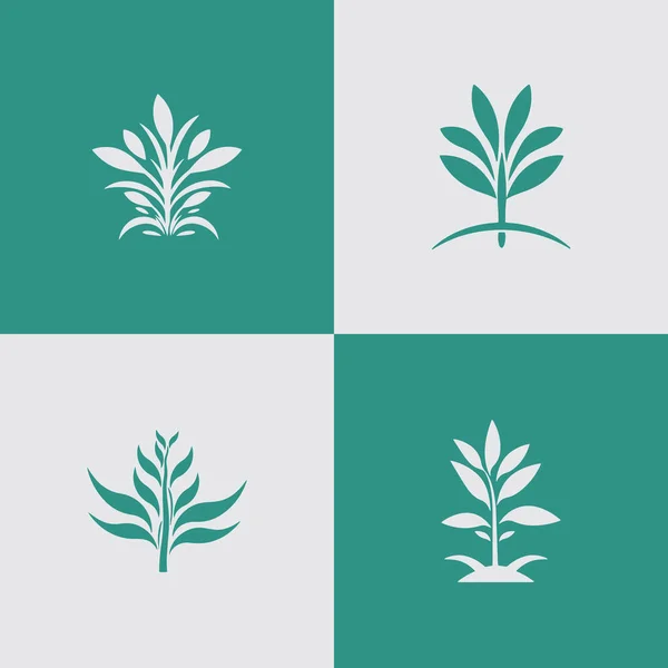 Ensemble Modèle Logo Minimal Plante Fleur — Image vectorielle