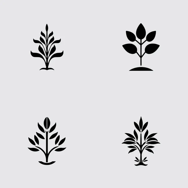 Vier Vector Bloemenelementen Logo Silhouet — Stockvector