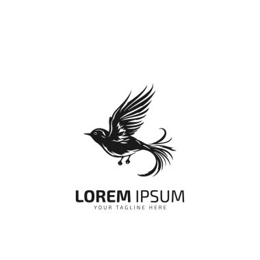 Modern özgürlük kuşu logosu logo simgesi tasarımı