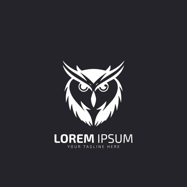 Дизайн Логотипа Owl Логотип Ночной Кошки Логотип Птицы — стоковый вектор
