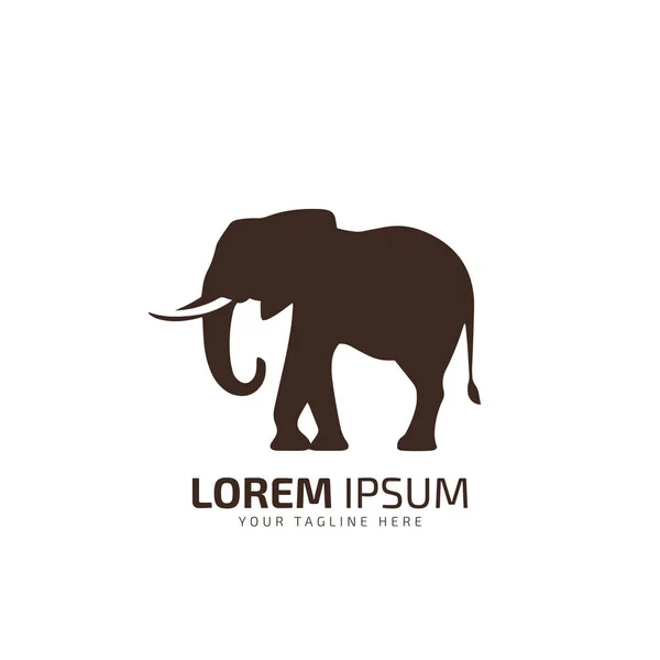 Elefante Logotipo Ícone Silhueta Vetor Modelo — Vetor de Stock