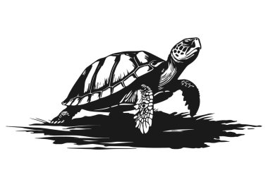Kaplumbağa logo simgesi vektör premium siluet tasarımı tembel kaplumbağa