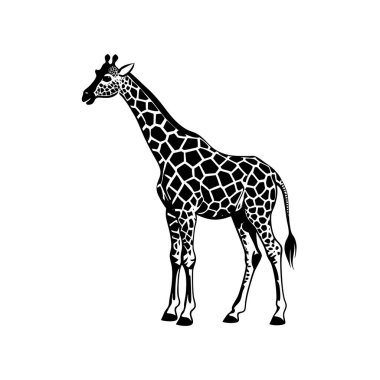 Minimum Zürafa Logosu Gösterisi Gösterimi Gösterimi Gösterimi Gösterimi ve Basit Silüet