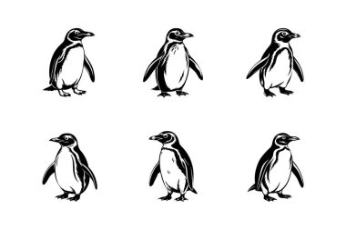 Penguen silueti minimum resim seti. Penguen logo simgesi koleksiyonu