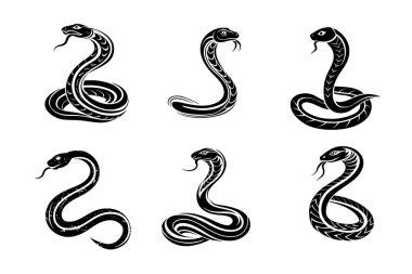 Anakonda Koleksiyonu Simgesel Logolar, Siluetler ve Vektör Tasarımları