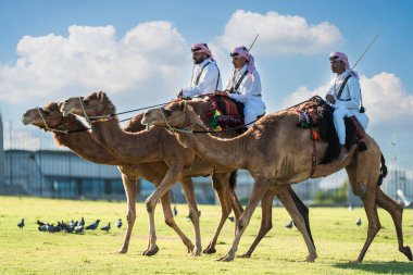 Sarayın önünde Amiri Diwan, saray muhafızlarının en özel ve görkemli develere bindiğini, Emir hükümdarları Doha 'yı korumak için bölgede devriye gezdiğini göreceksiniz, Katar 15-04-2024