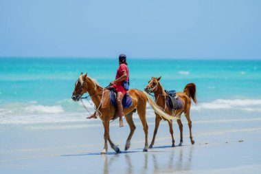 Bir adam, arkasında küçük bir atla deniz kıyısında ata biniyor. Djerba Tunus 15-06-2024