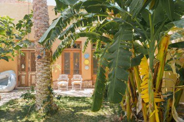 Eski sandalyeleri ve tropik yemyeşil yeşilliği olan rahat Akdeniz avlusu