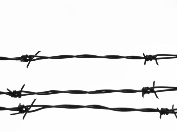 Black and white close up of three strands of a barbed wire security fence against a plain white background.