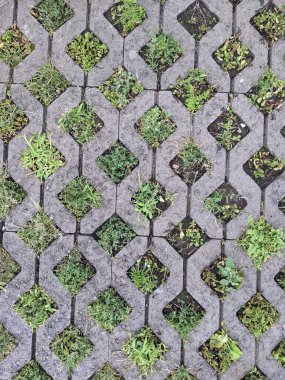 yeşil çimen dokusu, arkaplan